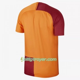 Billige Fotballdrakter Galatasaray Spor Kulübü Hjemmedraktsett 2018/19 Kortermet
